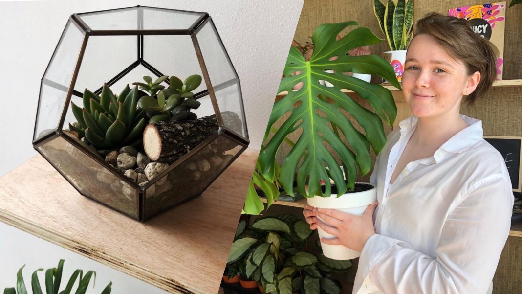 This 19-year old Cork student set up booming indoor plant business via Instagram