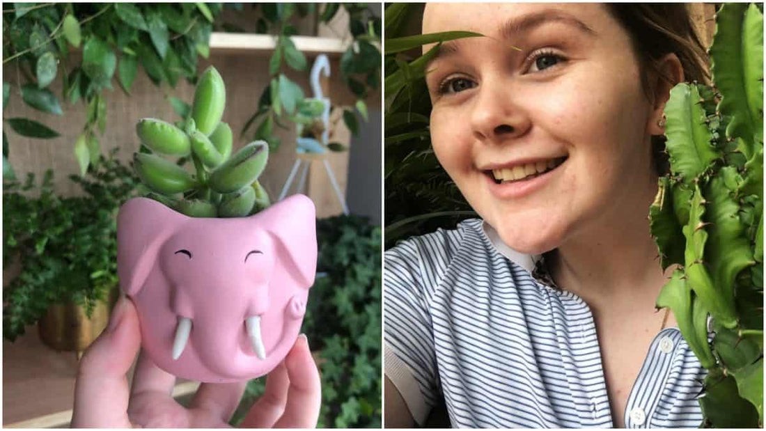 YAYCORK - Indoor plants make people happy. Now there’s a new Cork shop devoted to them.