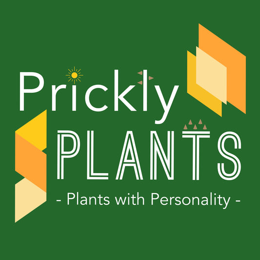 Prickly Plants Gift Card / Voucher